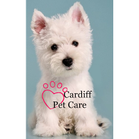 Cardiff Pet Care 1067348 Image 0